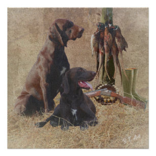 German Shorthaired Pointers (GSP)  Poster