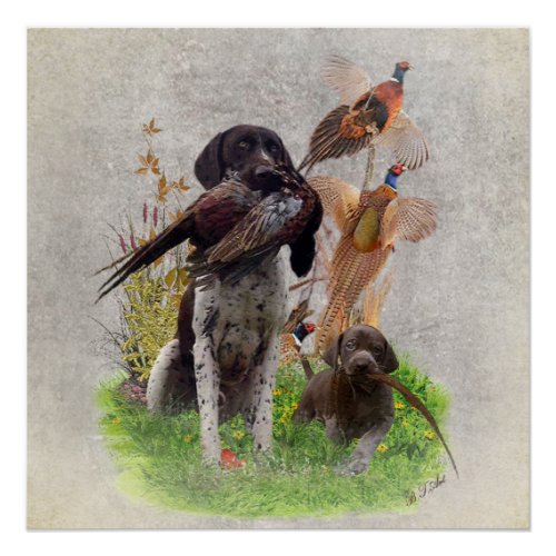 German Shorthaired Pointers GSP  Poster