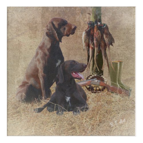 German Shorthaired Pointers GSP Poster Acrylic Print