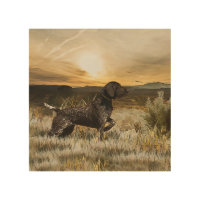 German Shorthaired Pointers (GSP)