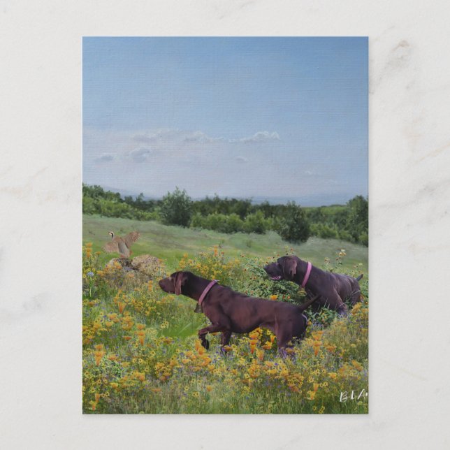 German Shorthaired Pointers    Holiday Postcard (Front)