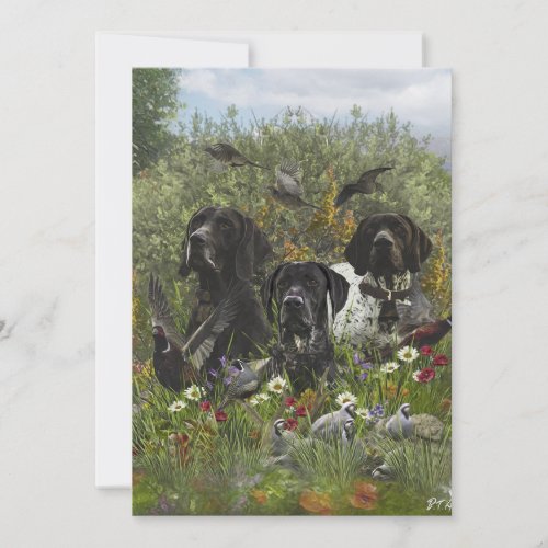 German Shorthaired Pointers   Invitation