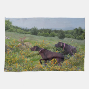 German Shorthaired Pointers Kitchen Towel