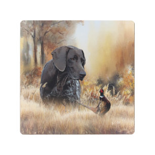 German Shorthaired Pointers Metal Print