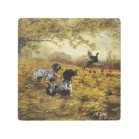 German Shorthaired Pointers