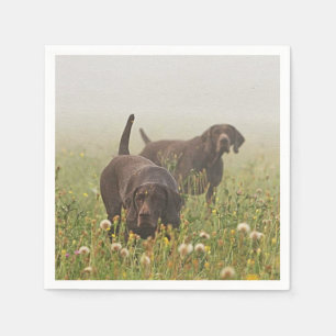 German Shorthaired Pointers Napkins