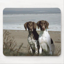 german shorthaired pointer accessories