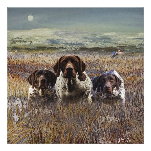 German Shorthaired Pointers    Photo Print