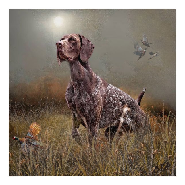 German Shorthaired Pointers  Photo Print (Front)