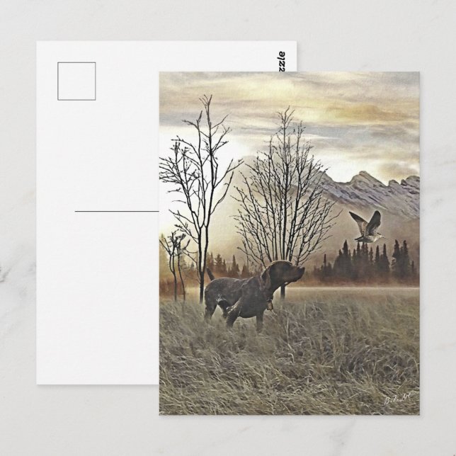 German Shorthaired Pointers Postcard (Front/Back)
