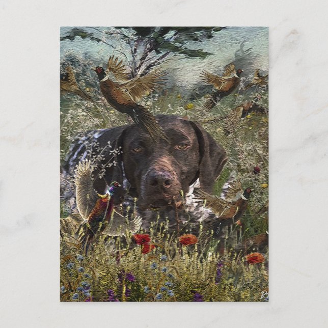 German Shorthaired Pointers Postcard (Front)