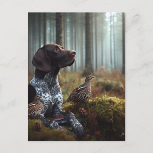 German Shorthaired Pointers Postcard
