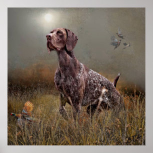 German Shorthaired Pointers Poster