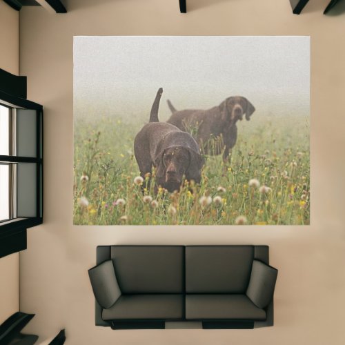 German Shorthaired Pointers  Rug