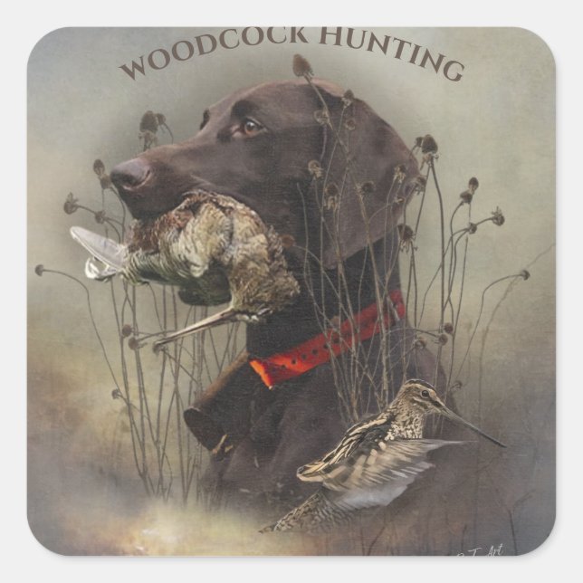 German Shorthaired Pointers Square Sticker (Front)