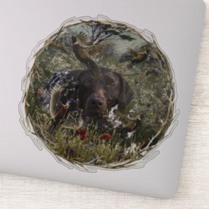 German Shorthaired Pointers Sticker