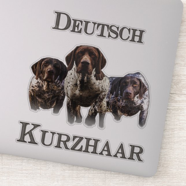 German Shorthaired Pointers   Sticker (Detail)