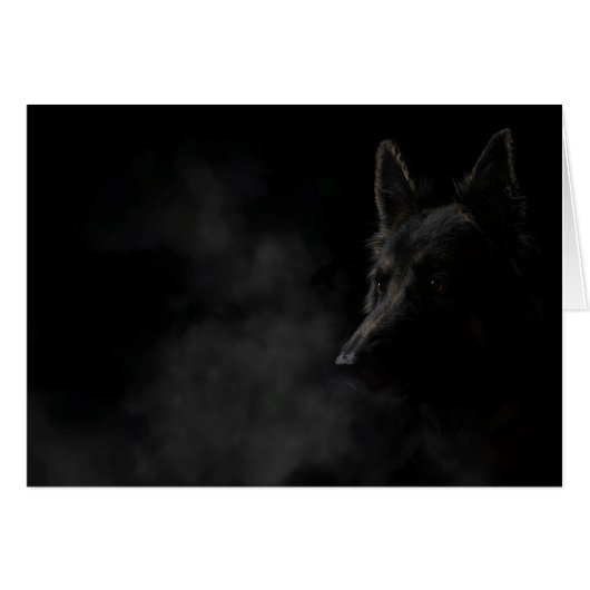 German shpherd dog cards (Front Horizontal)