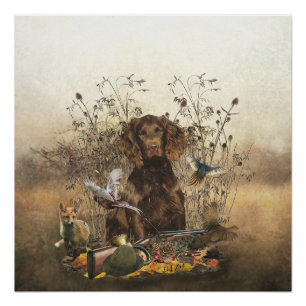 German Spaniel, Wachtelhund  Poster