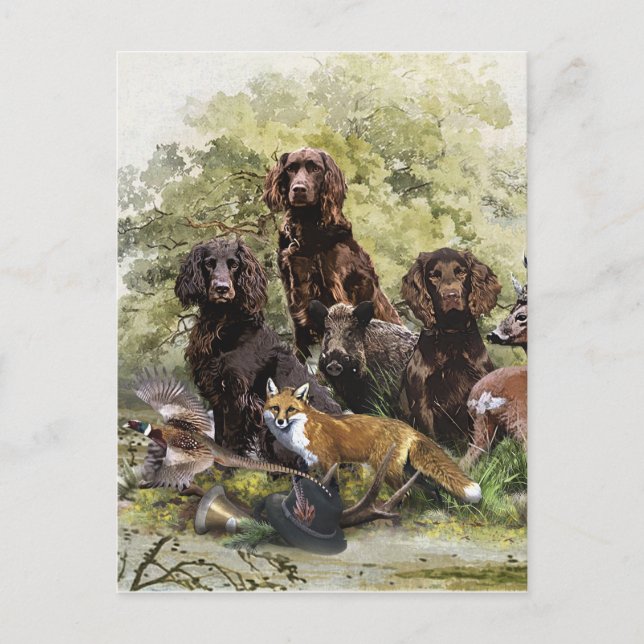 German Spaniels (  Deutscher Wachtelhund ) Holiday Postcard (Front)