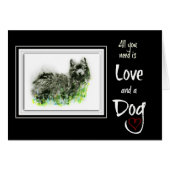 German Spitz (Front Horizontal)