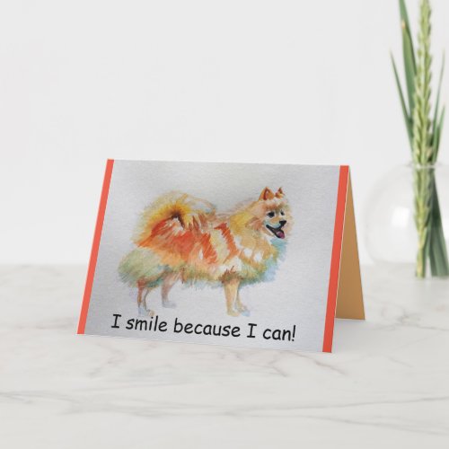 German Spitz Dog I Smile Because I Can Card