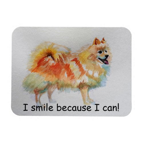 German Spitz Dog I Smile Because I Can Card Magnet