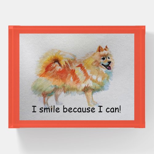 German Spitz Dog I Smile Because I Can Card Paperweight