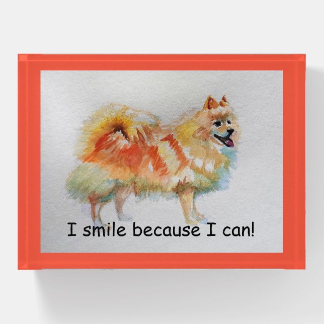German Spitz Dog 'I Smile Because I Can' Card Paperweight (Front)