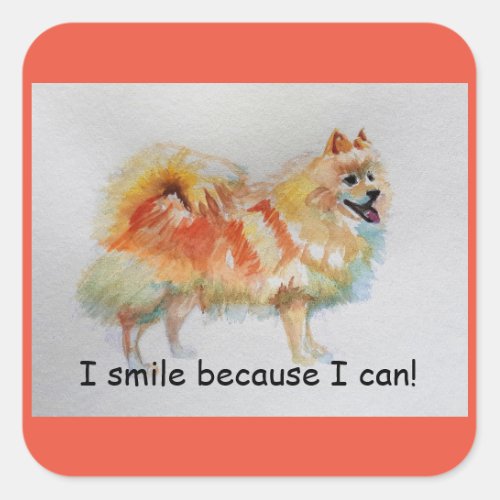 German Spitz Dog I Smile Because I Can Card Square Sticker