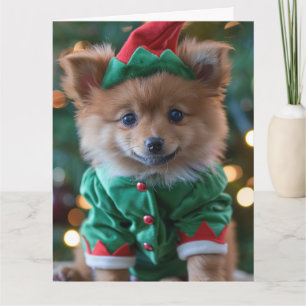 German Spitz Elf Puppy Christmas Card