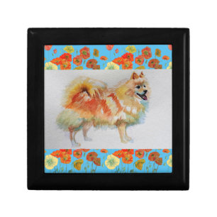 German Spitz Pomeranian dog cute Gift Box
