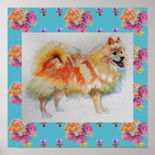 German Spitz Pomeranian Dog Roses Poster