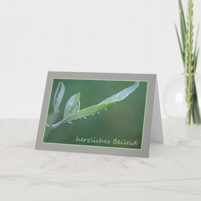German Sympathy Raindrops on Olive Leaf Card (Front)