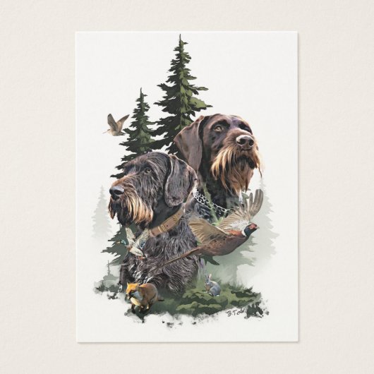 German Wirehaired Pointer (Front)