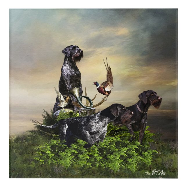  German Wirehaired Pointer   Acrylic Print (Front)