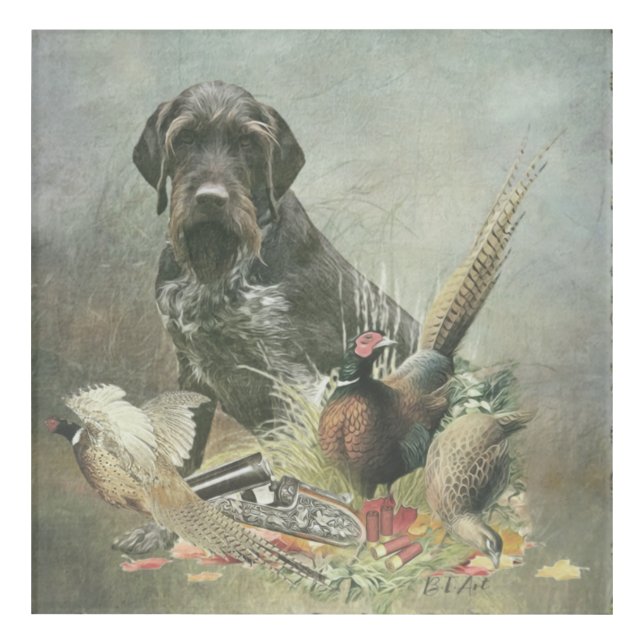 German Wirehaired Pointer     Acrylic Print (Front)