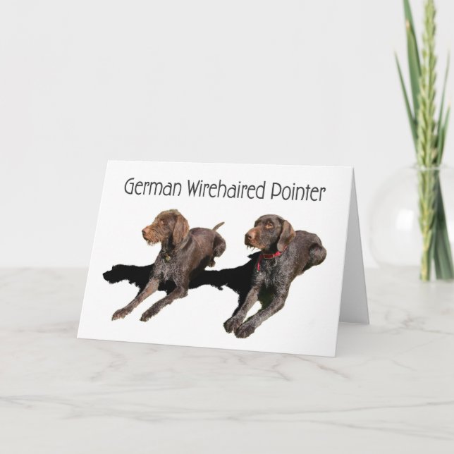 German Wirehaired Pointer Card (Front)