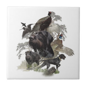 German Wirehaired Pointer Ceramic Tile