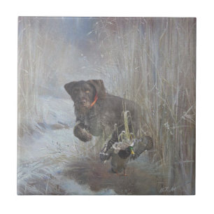  German Wirehaired Pointer Ceramic Tile