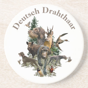 German Wirehaired Pointer Coaster