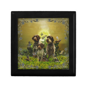  German Wirehaired Pointer   Gift Box