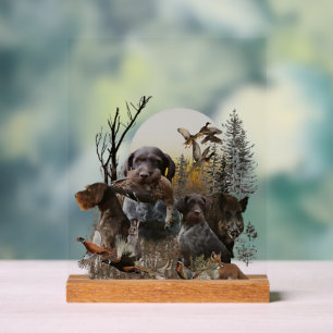 German Wirehaired Pointer, GWP Acrylic Sign