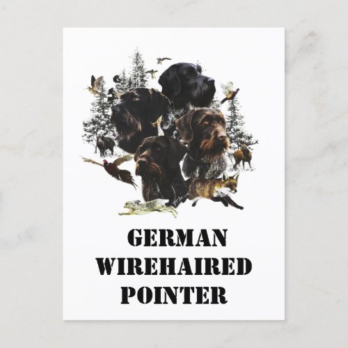  German Wirehaired Pointer     Holiday Postcard