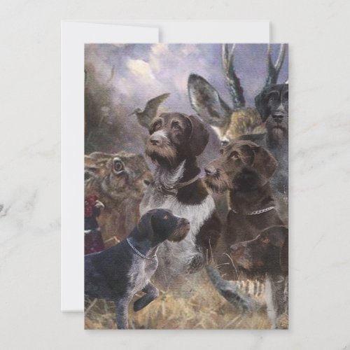  German Wirehaired Pointer Invitation