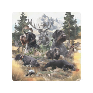 German Wirehaired Pointer Metal Print