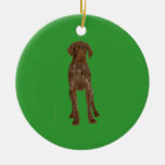 German Wirehaired Pointer Ornament at Zazzle