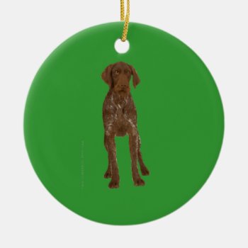 German Wirehaired Pointer Ornament by BarkWithin at Zazzle