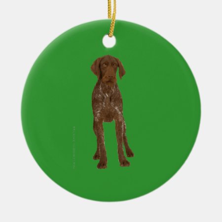 German Wirehaired Pointer Ornament