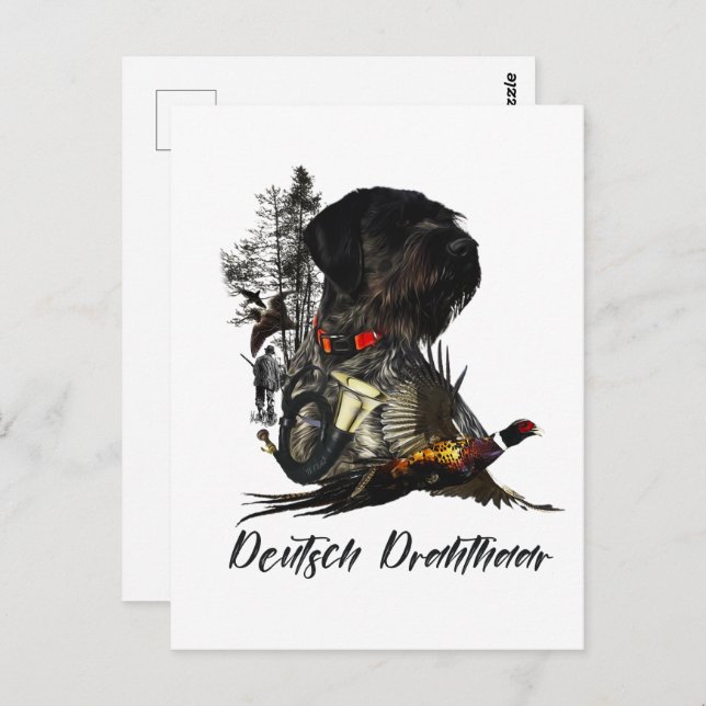  German Wirehaired Pointer     Postcard (Front/Back)
